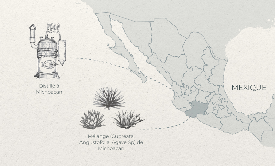 FR Blend (Cupreata, Angustofolia, Agave Sp) from Michoacan Distilled in Michoacan-1